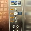 용암천2 | 남양주 카페 로얄드벨 별내 벚꽃뷰 용암천 루프탑 카페