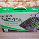 화천 아스파라거스 농장 이미지