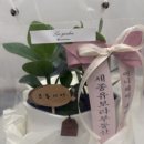 리브가의 행복한날