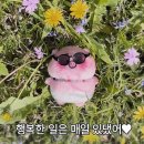 코끼리샐러드 이미지
