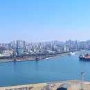 월미공원 안내소 화장실 | [인천 가볼만한곳] 월미공원 주차장 정보부터 물범카, 전망대 코스까지 트레킹 총정리!