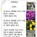 ﻿[청대창의인성교실35] 청대초등학교 국화꽃이 피기까지 이미지