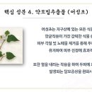 방영학 - 달서구 야외음악당로 64 | 방영학