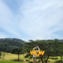 온민박 | 그레이스 CC 골프텔 추천⛳ 프라이빗 독채 숙소 청도펜션 온민박 C동 후기