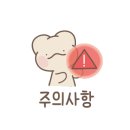 강아지테마미용실 이미지