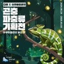황금아쿠아 이미지