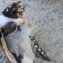 경북빵 도배하고... 이미지