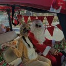 킹덤키즈 이미지