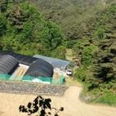 버섯공인중개사사무소 이미지