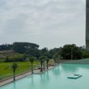 엘리스테이보령 이미지