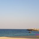 동화가든원조짬순 이미지