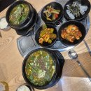 대안고기마을 | 의정부 회룡역맛집 ok능이마을 호원본점 영양오리보양탕 12000원 가성비 후기