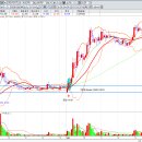 성일Trading 이미지