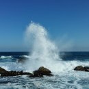 중매목장 이미지