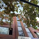 월드컵북로 6길 3 수협 앞 | [체인지마인드 상담센터] 홍대커플심리검사 결혼 전 이색 데이트