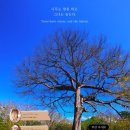 나무의노래 이미지