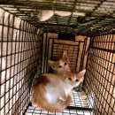 표선동물병원 이미지