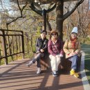 천변3호 이미지