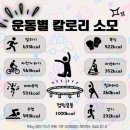 베스트점핑 이미지