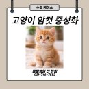 하임동물병원 | 성남 산성역 중성화 수술 잘하는 곳, 동물병원 더 하임의 통증 최소화 수술 후기