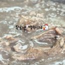 미감한방백숙 이미지