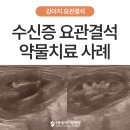 양산동물메디컬센터 | 강아지 수신증 요관결석, 조기 발견과 약물치료 사례 - 양산 부산 동물병원 에스동물메디컬센터