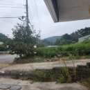 위촌리홍약국 이미지