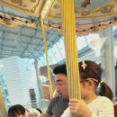 대섭동산 Daum카페