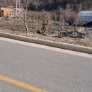 백운동계곡펜션 이미지