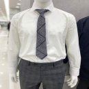 베이직핏 이미지