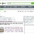 마이산 벚꽃길 이미지