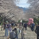 진해구 ⓒ-41 이미지