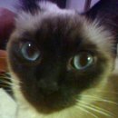 신월동011 이미지