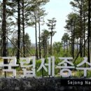 세종 이미지