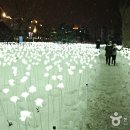 로즈카카오 주식회사