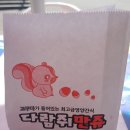 두모유채꽃메밀꽃단지