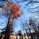 수락산 만남의광장 이미지