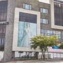 더바오컴퍼니 이미지