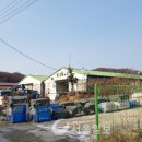 동구릉로 이미지
