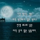 살롱이유 이미지