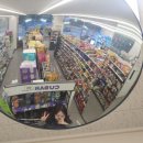 안스우스 이미지