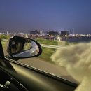 털보애견 이미지