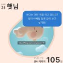 괌 태교여행 | 두짓타니 리조트 투몬비치 호텔 수영장 스노쿨링 후기