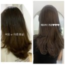 가온헤어디자인 이미지
