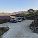 하얀집 | 익산 웅포 카페 홍차가 정말 매력적인 [하얀집카페] 방문 후기