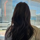 상주역 | 상주역미용실 중앙로미용실 리즈헤어 미듐레이어드컷