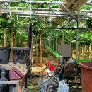 광록농장 이미지