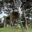 맛좋은 홍동식당 이미지