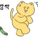 오목집 이미지