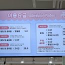 키즈다쿵2 대구달서점